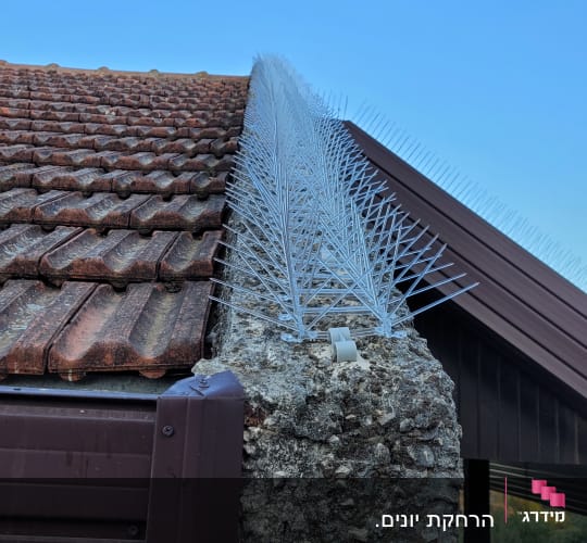 דוקרנים למניעת יונים על גג רעפים
